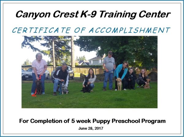 Puppy Preschool – Canyon Crest K9.com