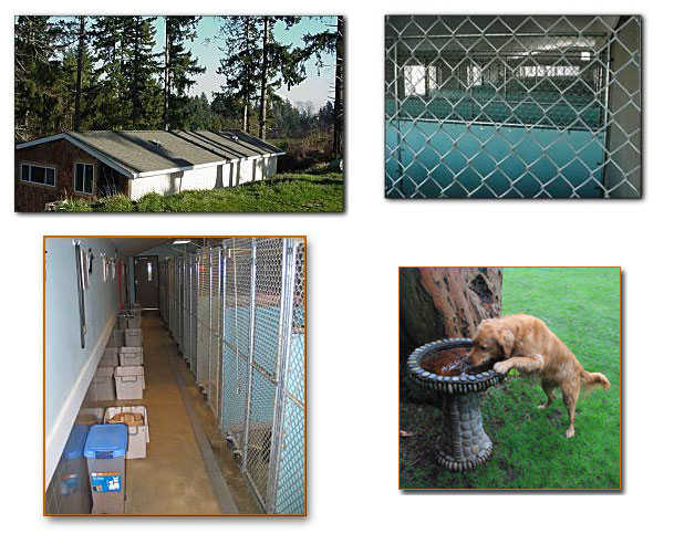 Pictures of the dog facility