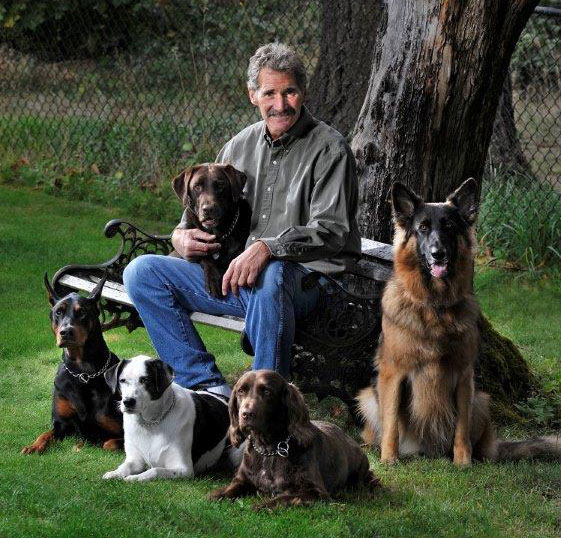 An old man with a lot of dogs